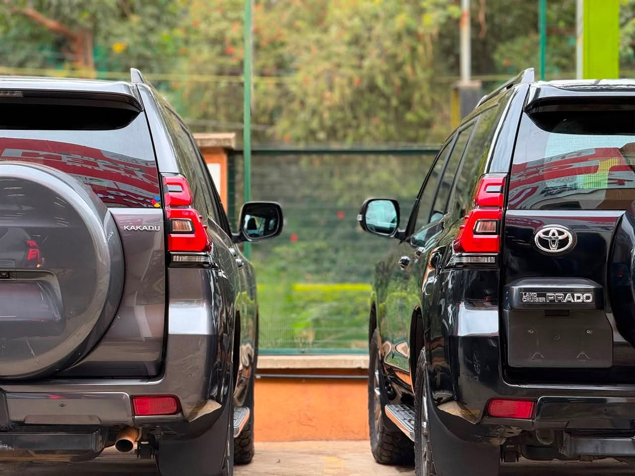 Land Cruiser Prado  Gorilla Trekking